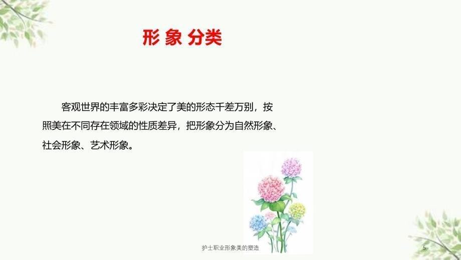 护士职业形象美的塑造课件_第5页