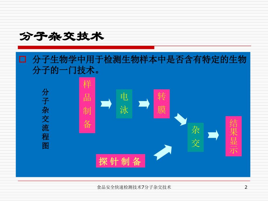 食品安全快速检测技术7分子杂交技术课件_第2页