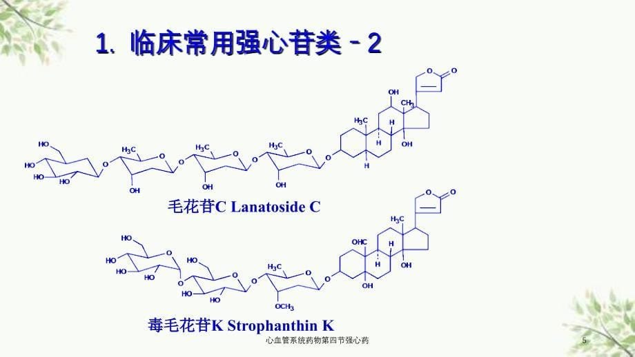 心血管系统药物第四节强心药课件_第5页