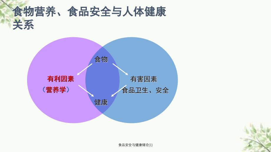 食品安全与健康绪论(1)课件_第2页