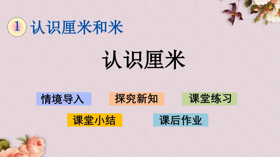 北京课改版二年级上册数学PPT课件 《1.1 认识厘米》_第1页