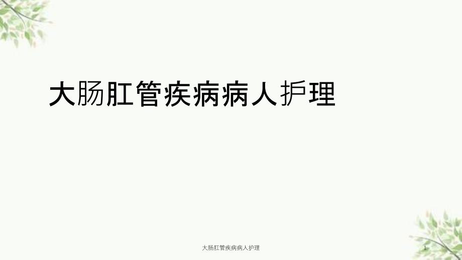 大肠肛管疾病病人护理课件_第1页