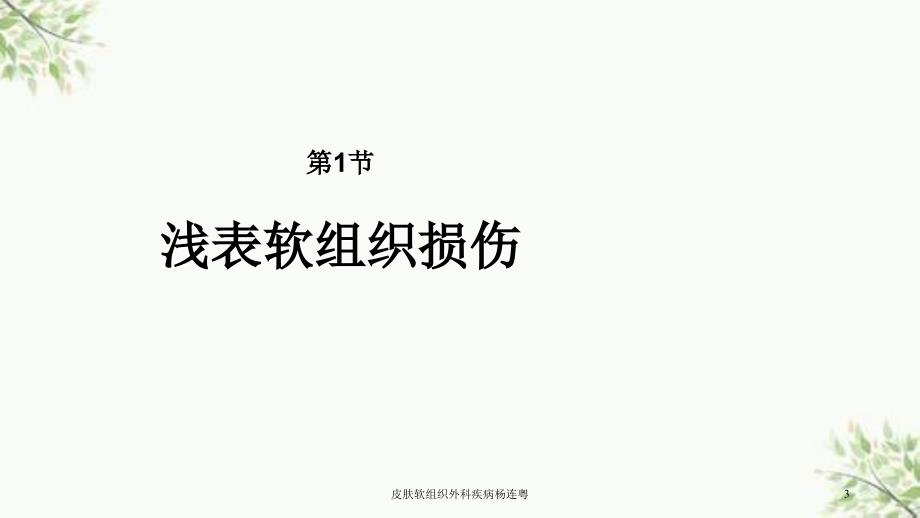 皮肤软组织外科疾病杨连粤课件_第3页