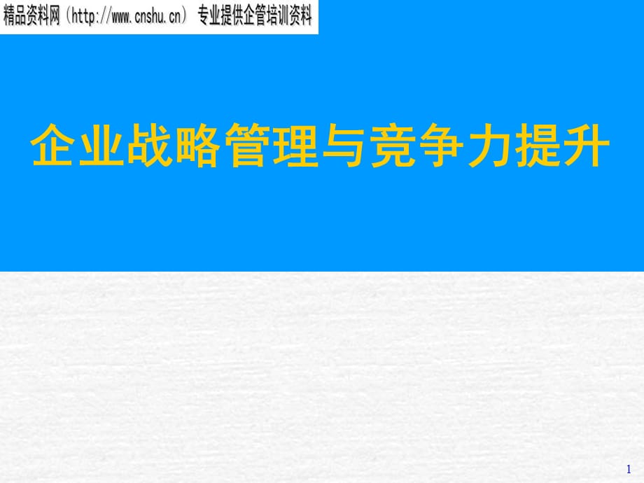 [精选]企业战略管理及竞争力的提升_第1页