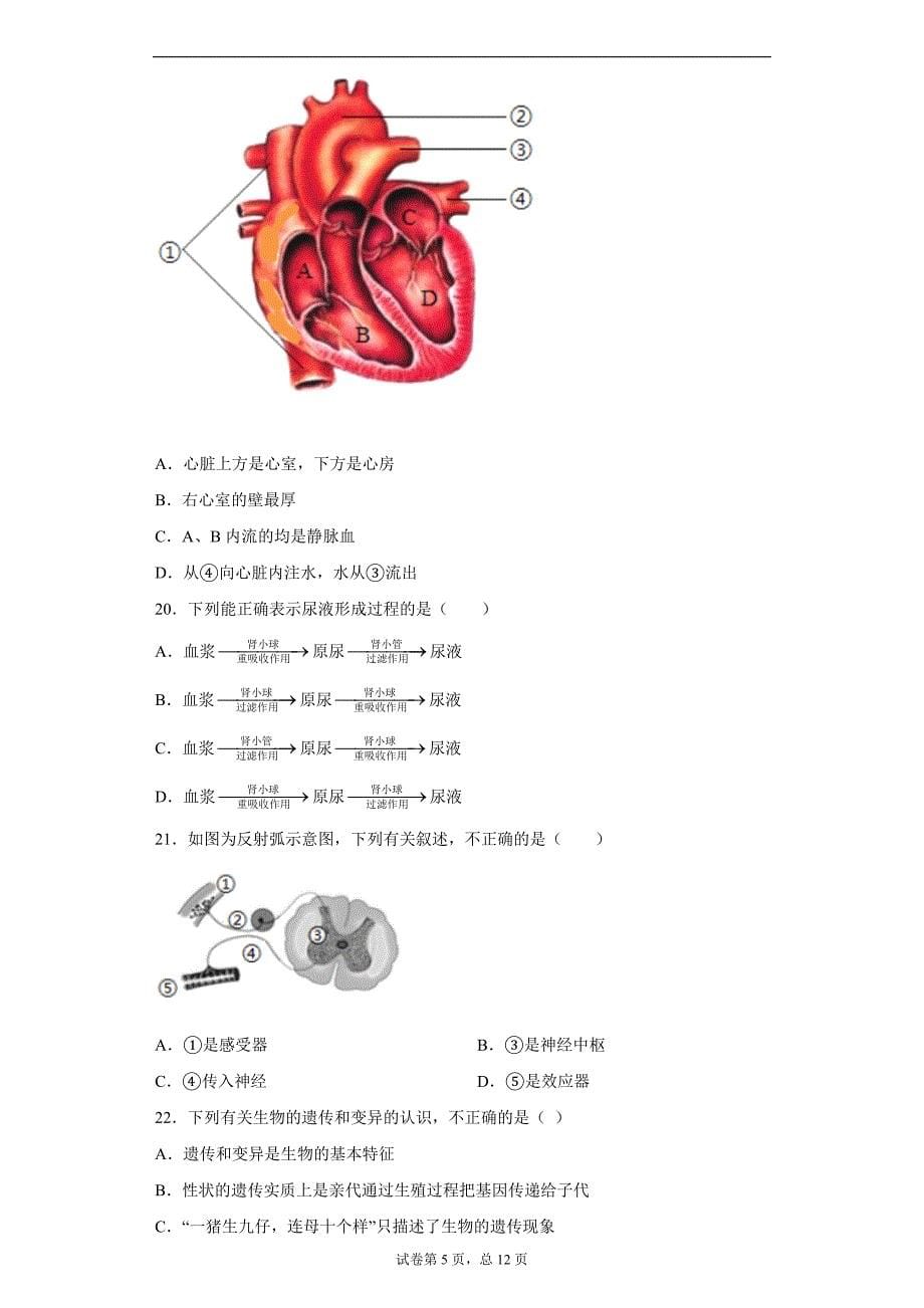 2021年福建省三明市梅列区中考仿真试卷（二）生物试题(word版含答案）_第5页