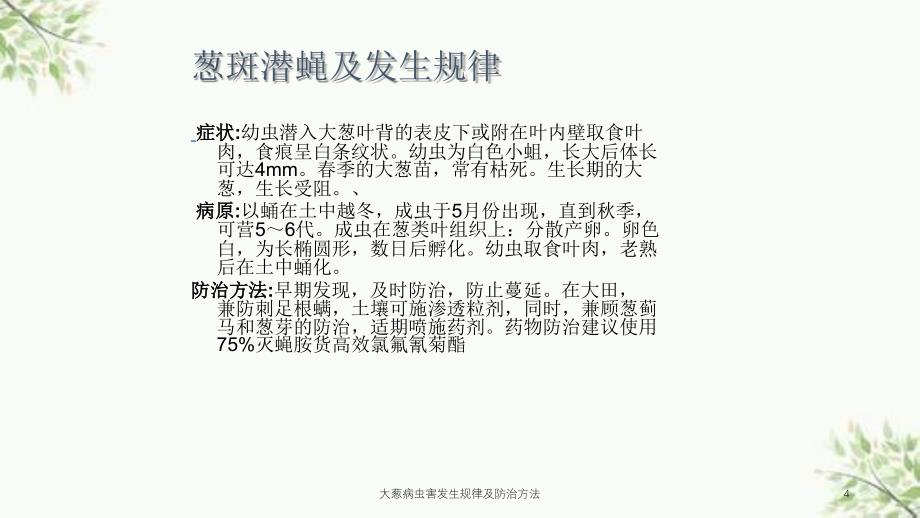 大葱病虫害发生规律及防治方法课件_第4页