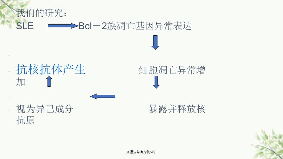 风湿病与自身抗体讲课件_第3页