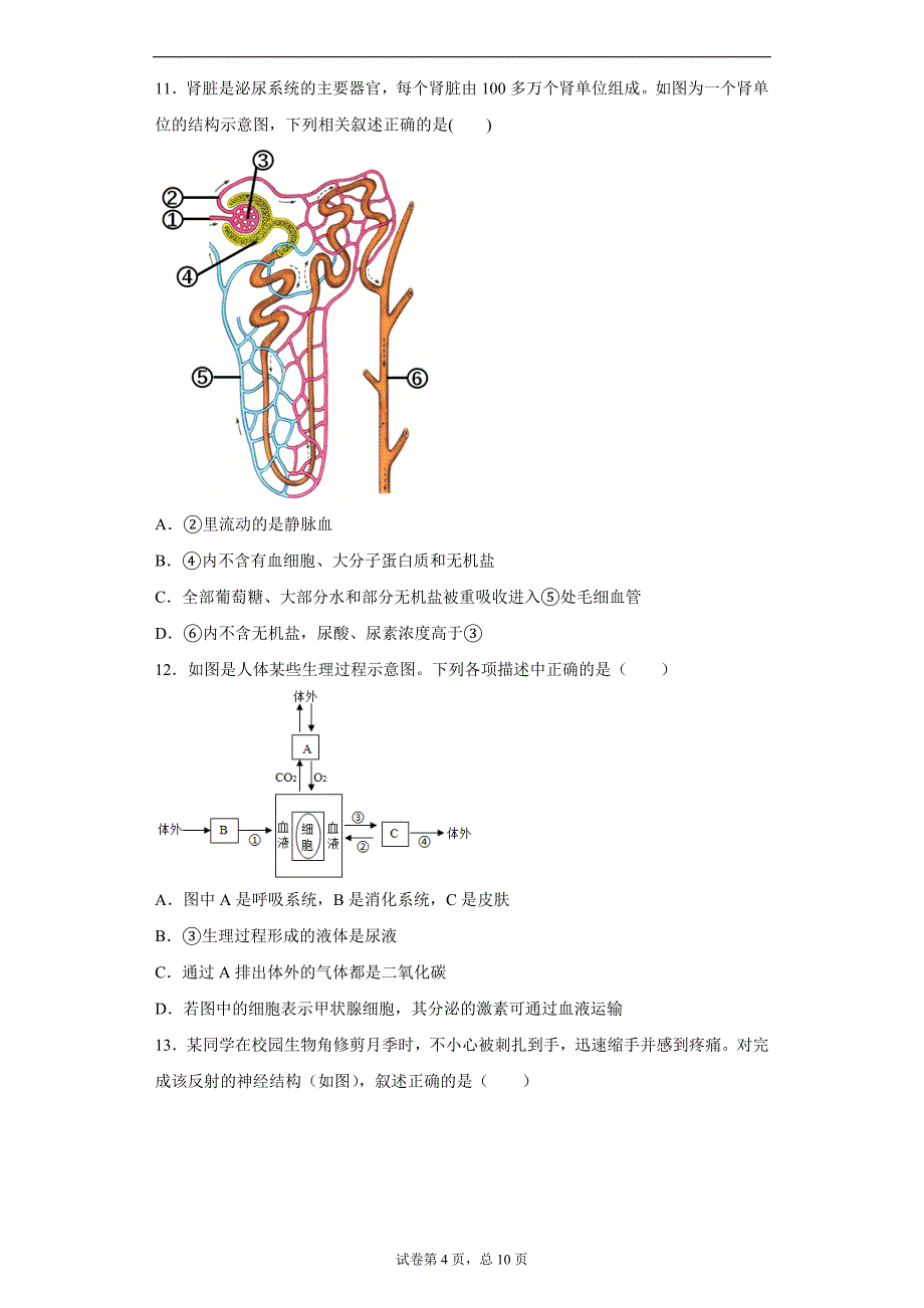 2021年山东省菏泽市牡丹区中考二模生物试题(word版含答案）_第4页