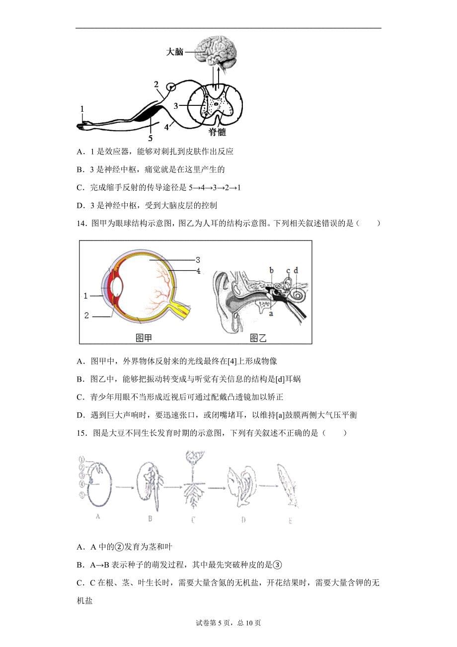 2021年山东省菏泽市牡丹区中考二模生物试题(word版含答案）_第5页