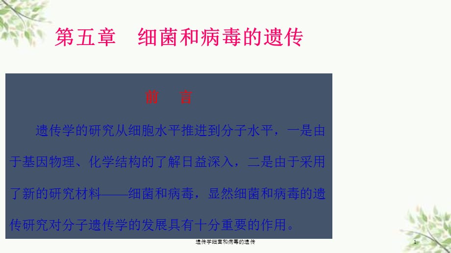 遗传学细菌和病毒的遗传课件_第1页