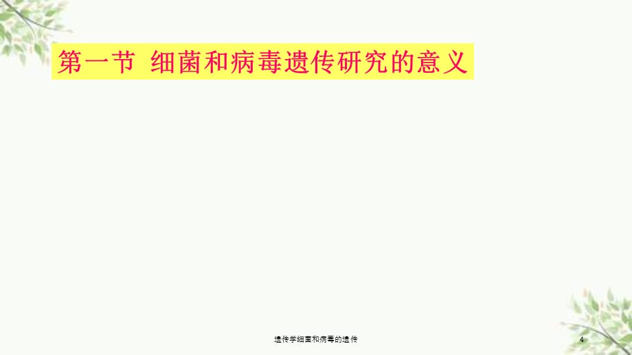 遗传学细菌和病毒的遗传课件_第4页