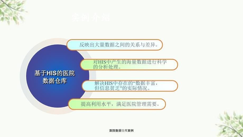 医院数据仓库案例课件_第5页