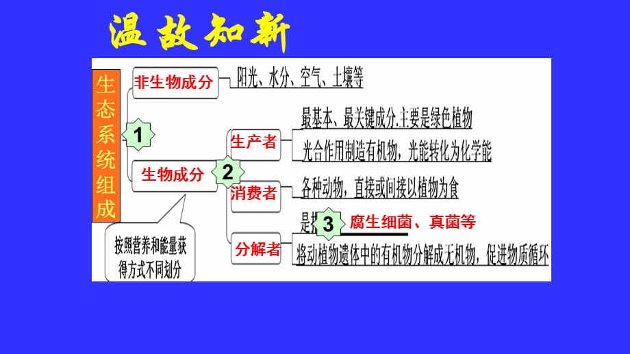 济南版八年级生物下第六单元第二章第二节食物链和食物网教学课件共31.ppt_第3页