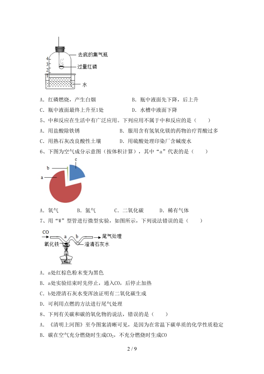 九年级化学下册月考考试卷（审定版）_第2页