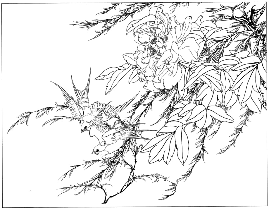 手绘线稿：花卉-牡丹28(线条清晰-可直接打印)_第1页