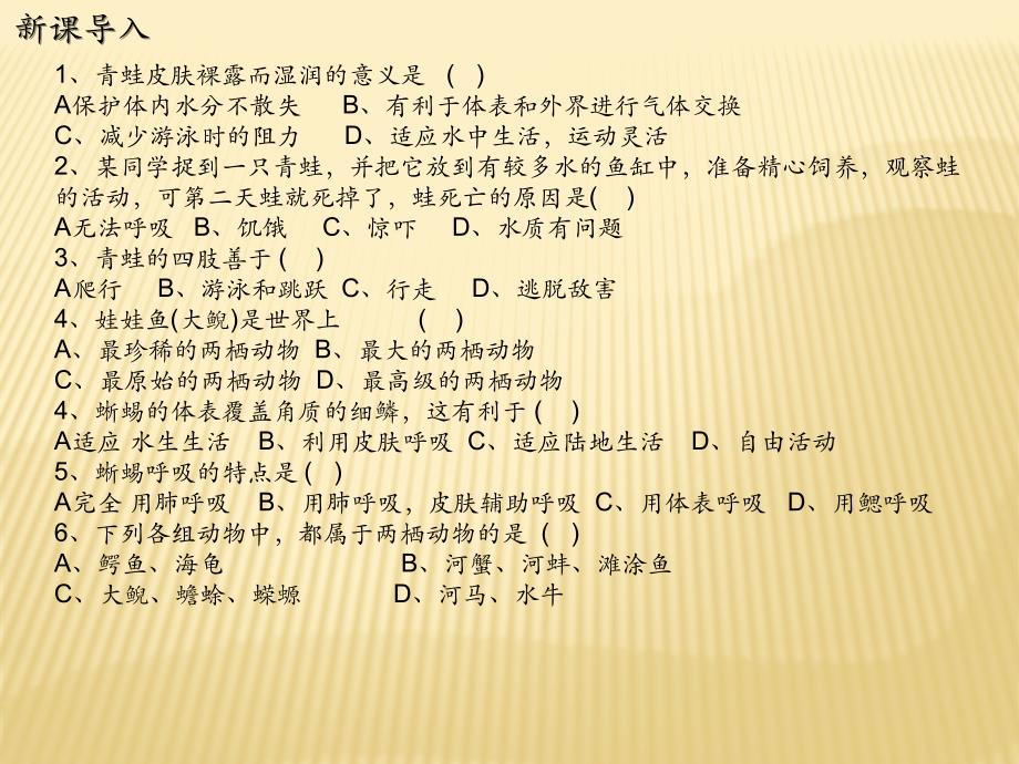 2018-2019学年八年级上生物同步课件：5.1.5 两栖动物和爬行动物_第2页