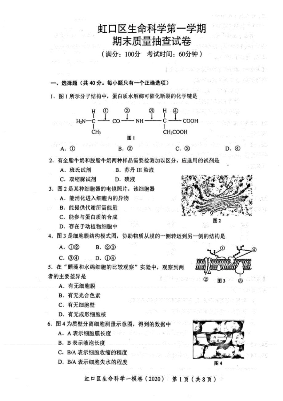 新版详细整理2020年上海15区高考生物一模试卷(全套)_第1页