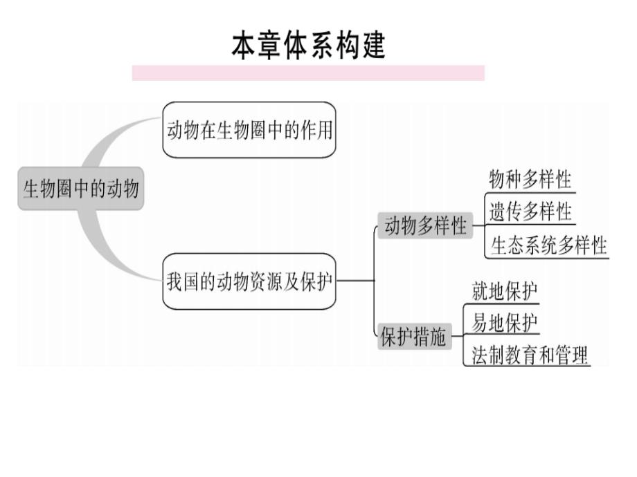 2018年秋八年级生物上册北师大版习题讲评课件：第5单元 第17、18章 小结与复习(共25张PPT)_第3页