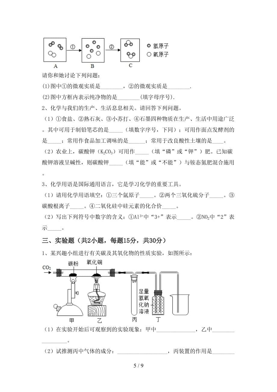 人教版九年级化学下册月考试卷（附答案）_第5页