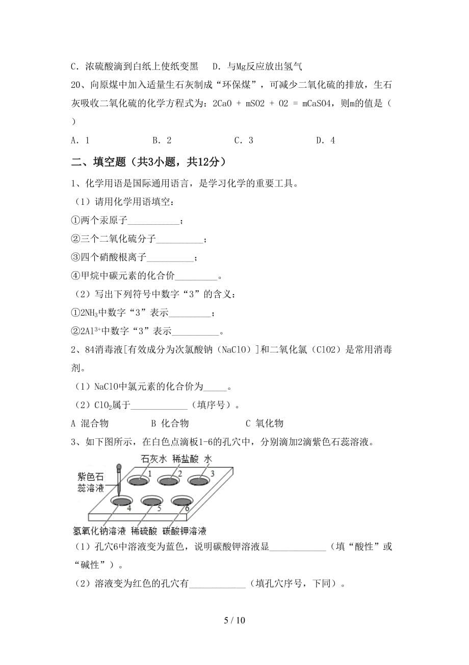 人教版九年级化学下册月考考试（完整）_第5页