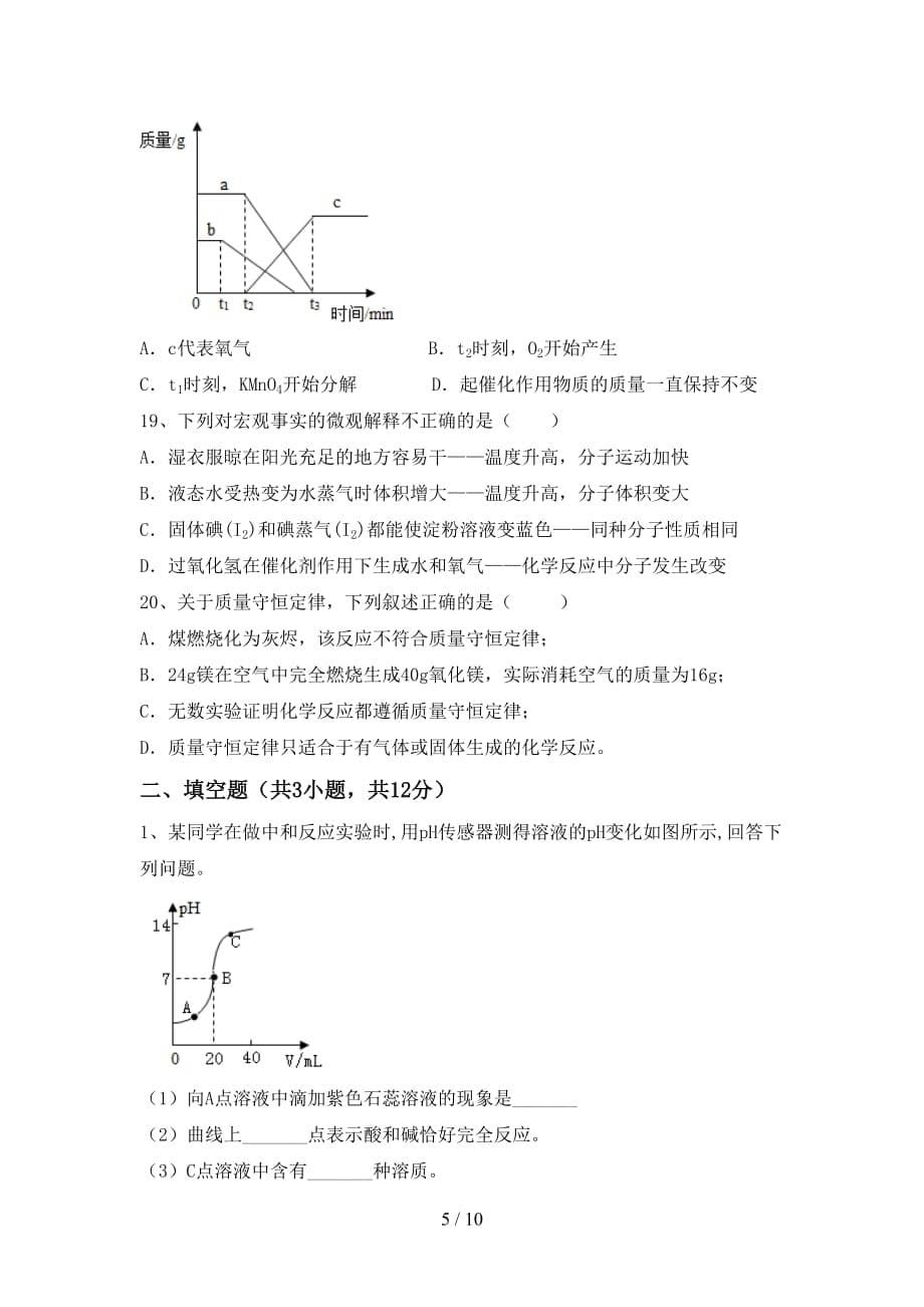 人教版九年级化学下册月考考试题（完整版）_第5页