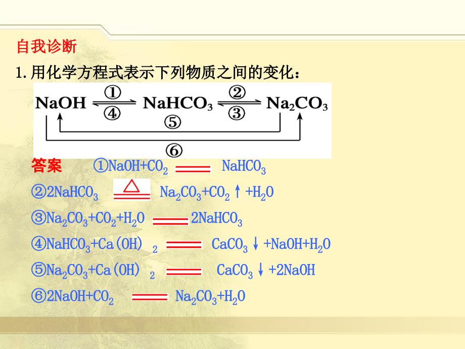 钠的其他常见化合物_第2页