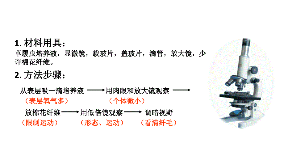 人教版生物七年级上第二单元第二章第四节《单细胞生物》【课件】_第4页