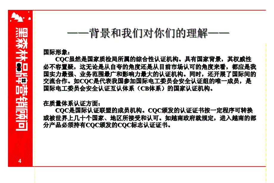 [精选]CQC项目建议书(2)_第4页