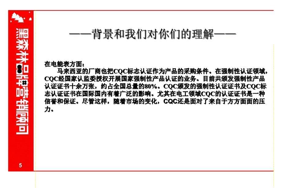 [精选]CQC项目建议书(2)_第5页