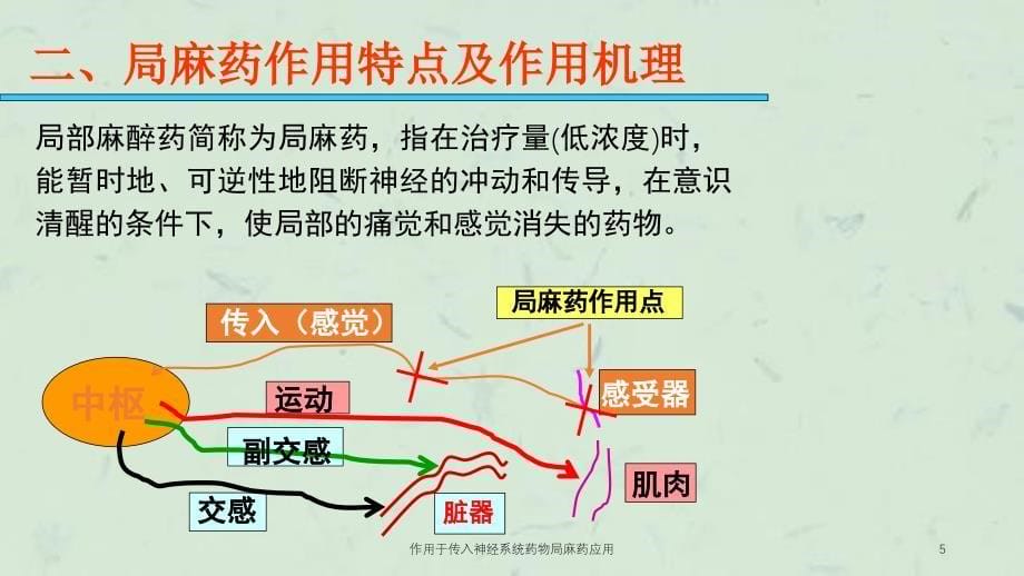 作用于传入神经系统药物局麻药应用课件_第5页