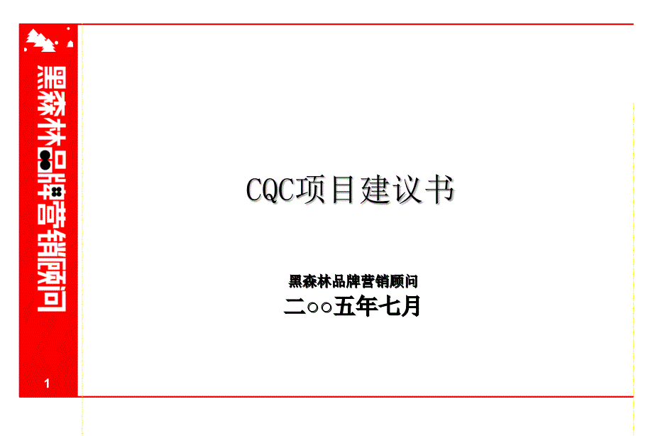 [精选]CQC项目建议书讲义_第1页