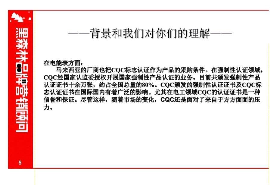 [精选]CQC项目建议书讲义_第5页