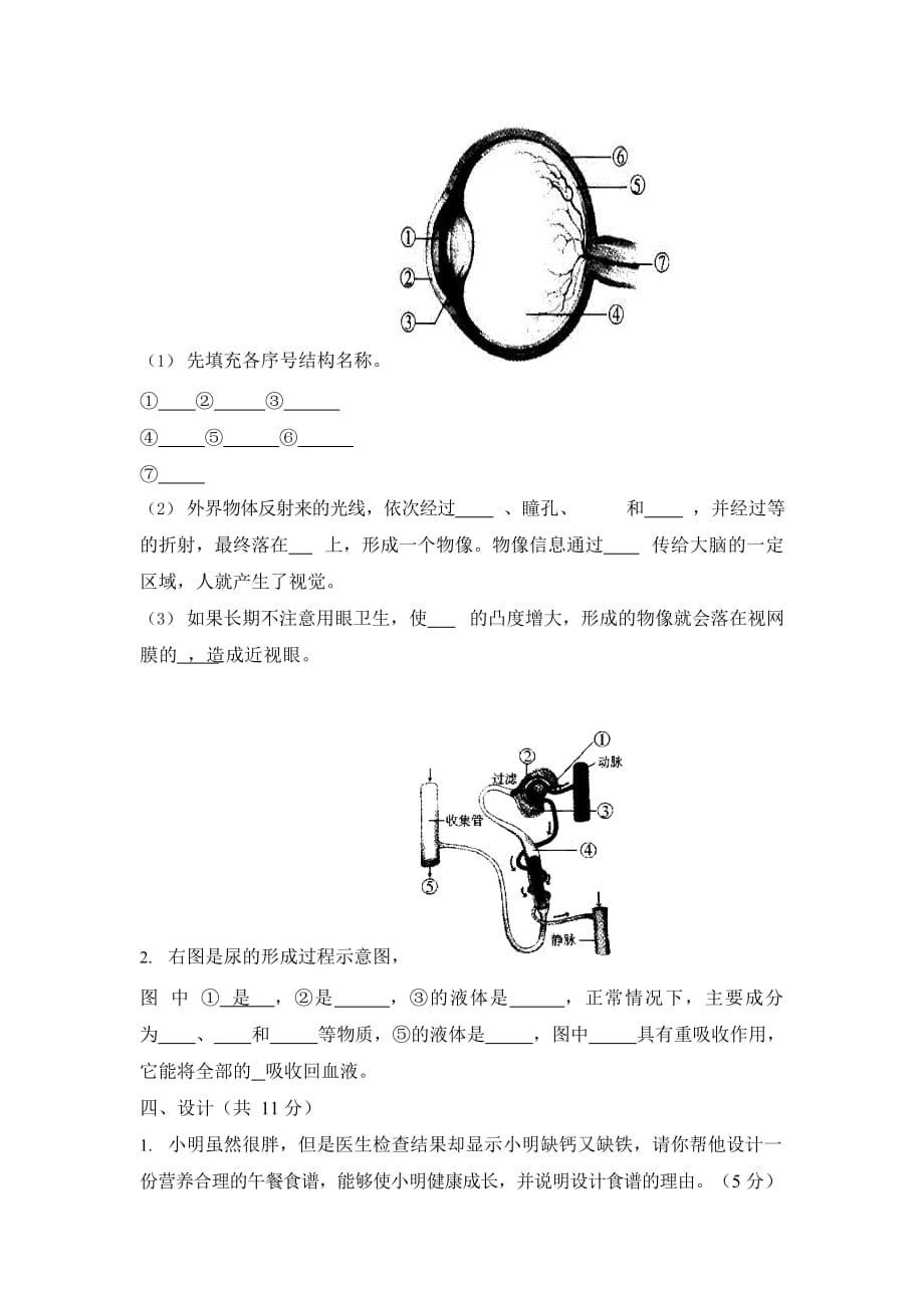 人教版七年级生物下册期末检测试卷测试题及答案_第3页