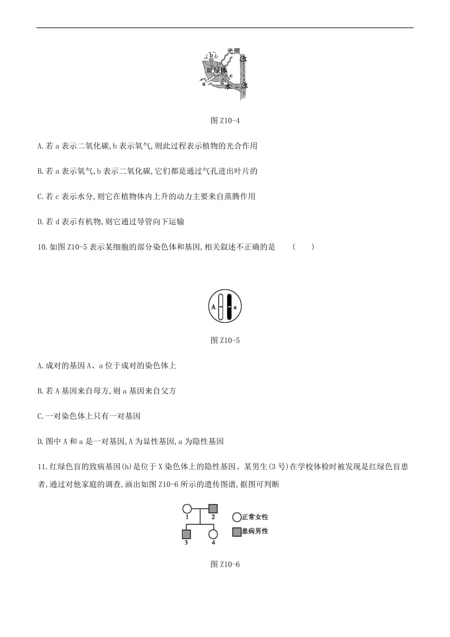 2021年江苏中考生物总复习综合训练（十 ）（word版 含答案）_第3页
