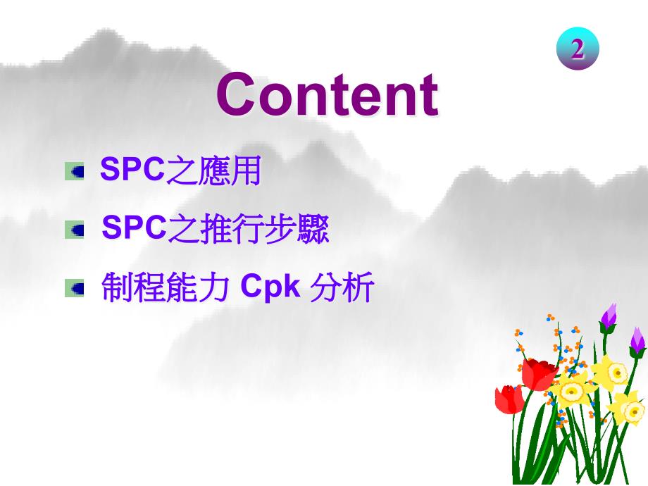 [精选]SPC中级教程(1)_第2页