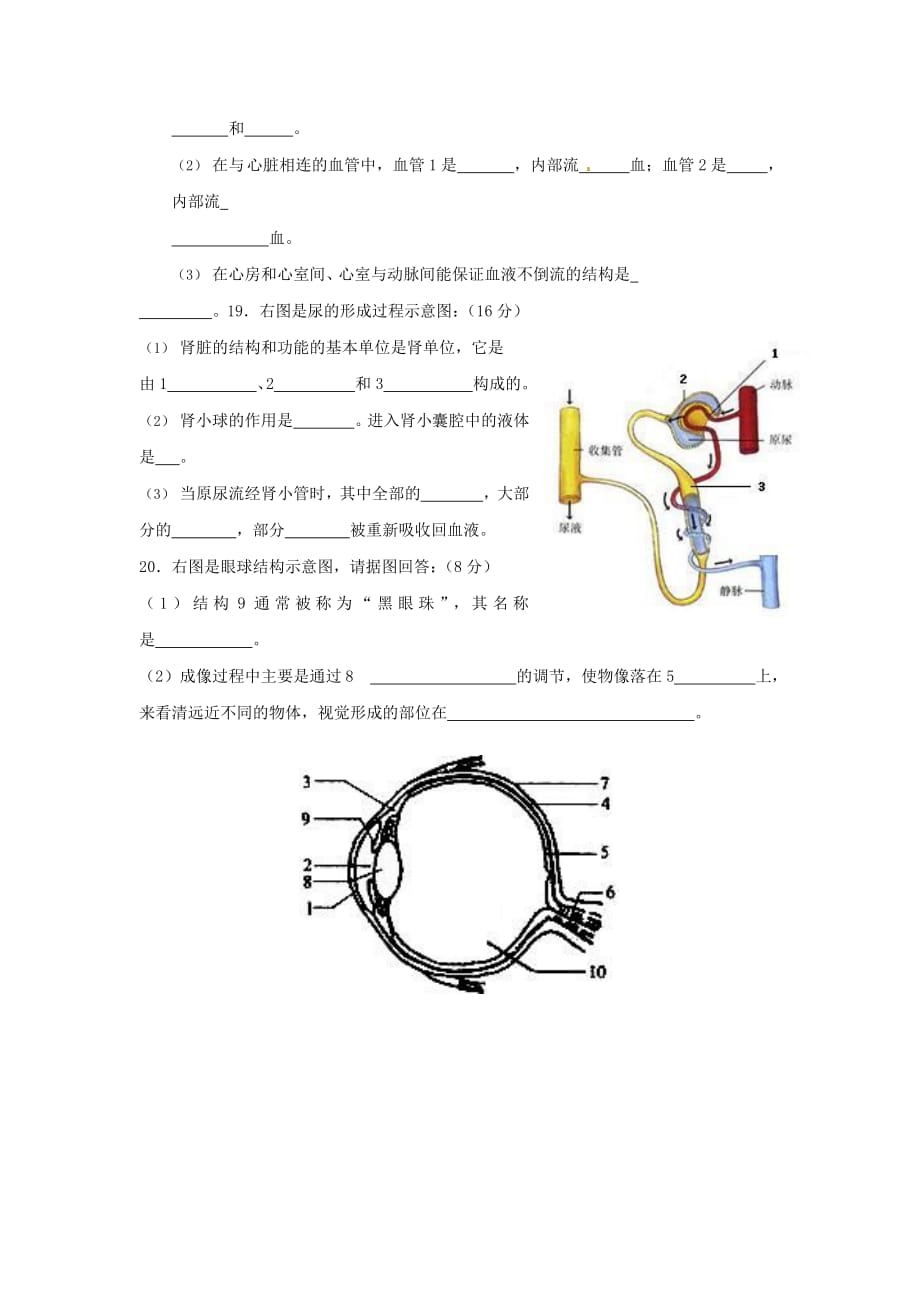 人教版七年级生物下册期末调研检测试题试卷及答案_第4页