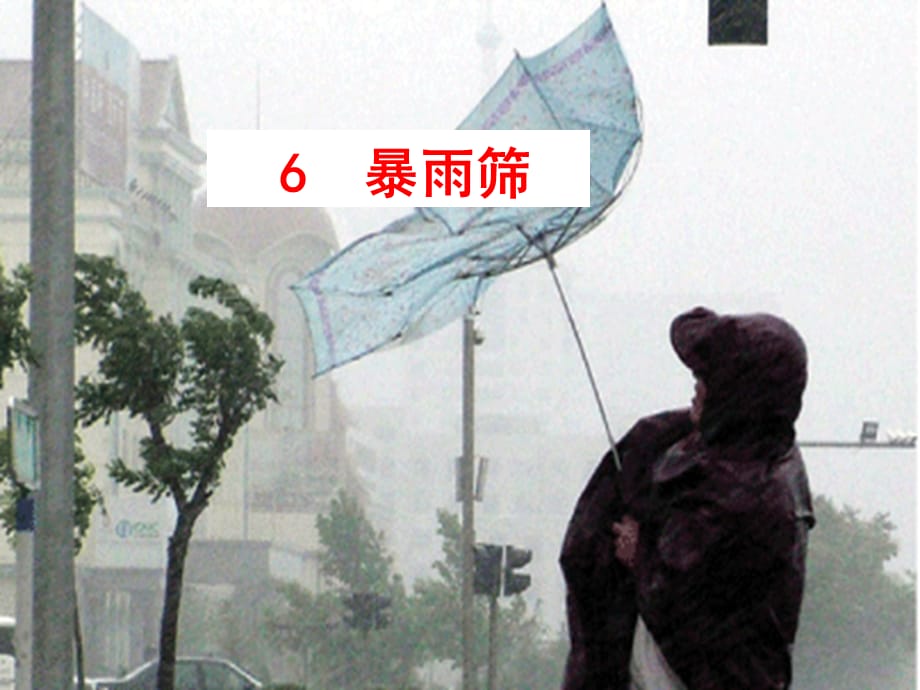 六年级下语文课件-暴雨筛2_北京课改版_第2页