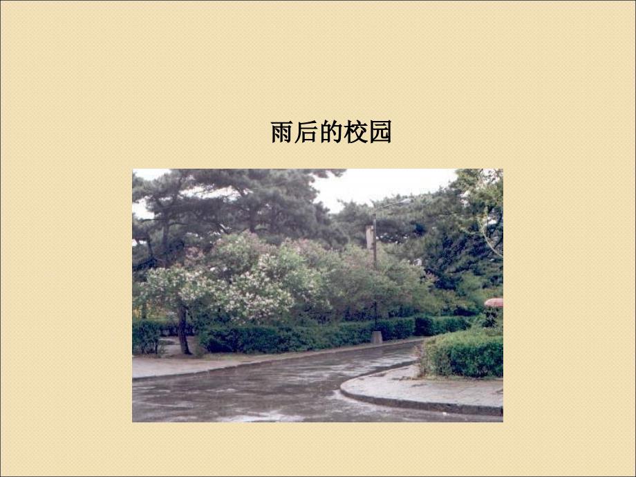 二年级下册语文课件-13雨后2_北师大版_第3页