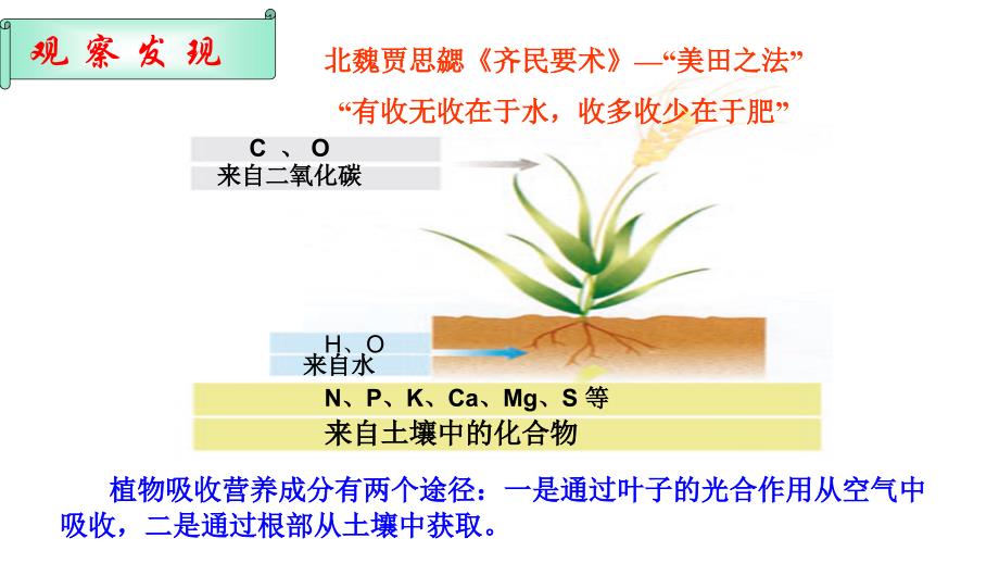 鲁教版五四制九年级化学第六单元的第三节化学与农业生产教学课件共19张PPT含视频_第3页