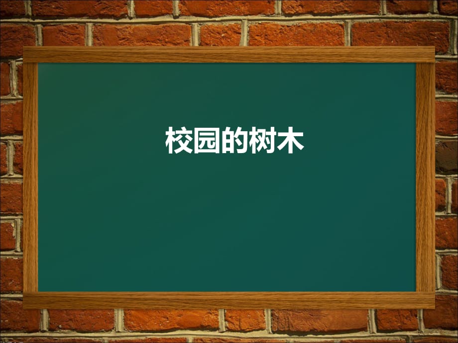 三年级上科学课件-校园的树木_教科版_第1页