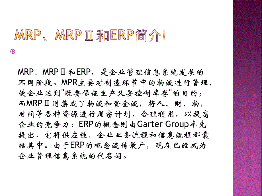 [精选]SAP系统简介_第2页