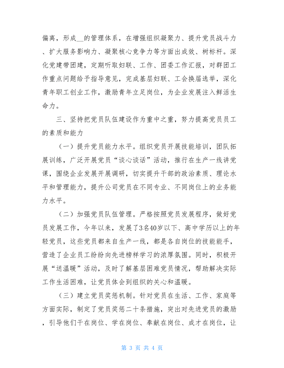 “两新”党支部2021年党建工作总结_第3页