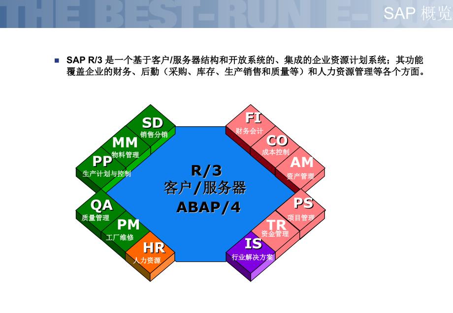 [精选]SAP系统实施项目系统操作入门培训教材_第4页