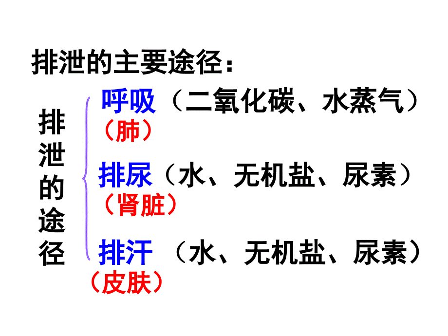 济南版七年级下册第四章人体内废物的排出(共25张PPT)_第4页