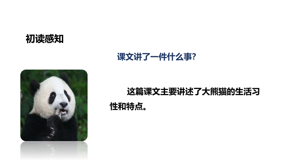 三年级上册语文课件-8可爱的大熊猫∣西师大版(共19张PPT)_第4页