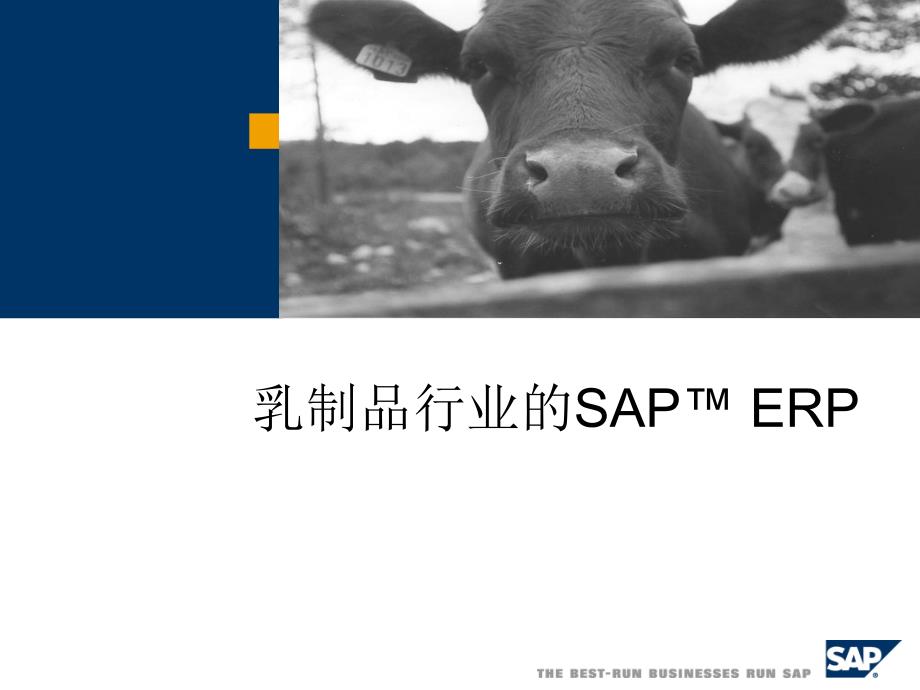[精选]乳制品行业的SAP与ERP实施_第1页