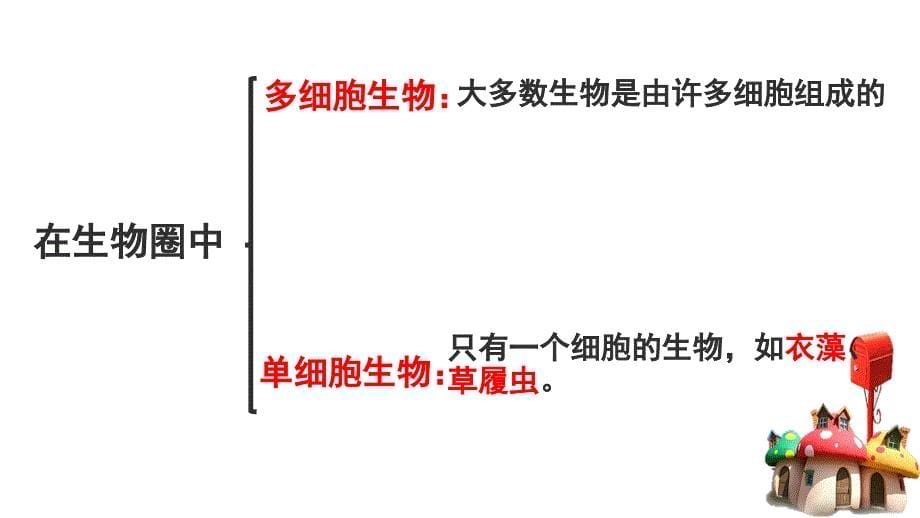 北师大版七年级生物上册2.3.1细胞的基本结构和功能（第1课时：显微镜）（共27张PPT）_第5页