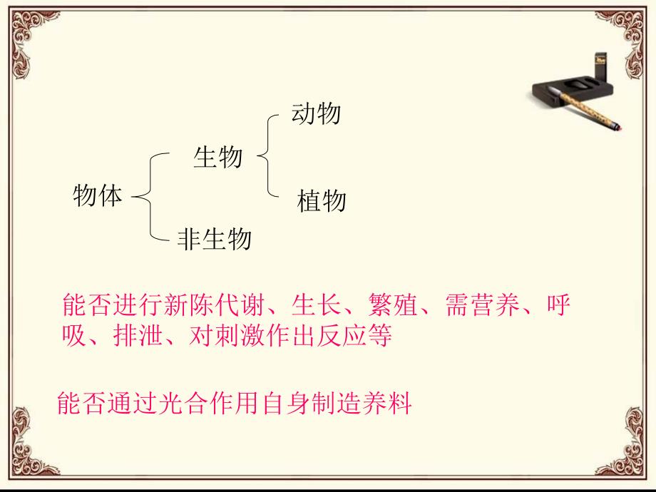 三年级上册科学课件－2.2《常见的动物》｜湘教版_第2页