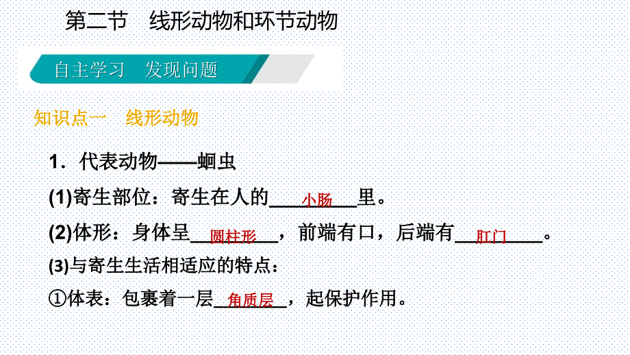 2018年秋人教版八年级生物上册同步导学课件：5.1.2线形动物和环节动物(共21张PPT)_第4页