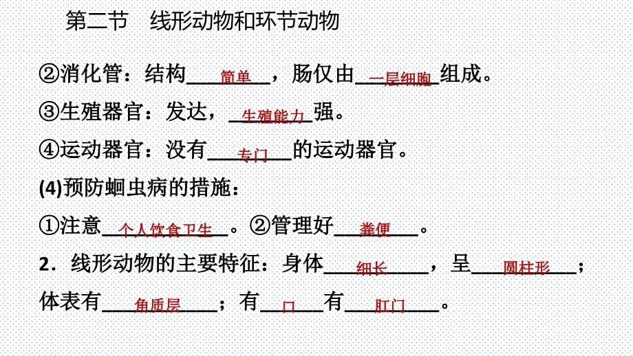 2018年秋人教版八年级生物上册同步导学课件：5.1.2线形动物和环节动物(共21张PPT)_第5页